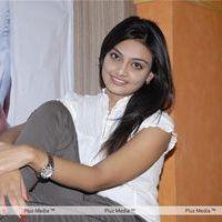 Nikita Narayan at It's My Love Story Movie Preemeet - Pictures | Picture 116450